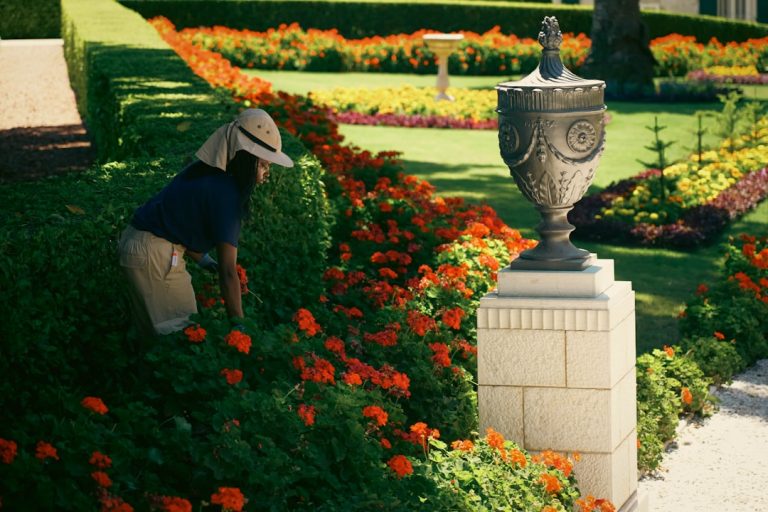 Transform Your Outdoor Space with Expert Garden Services