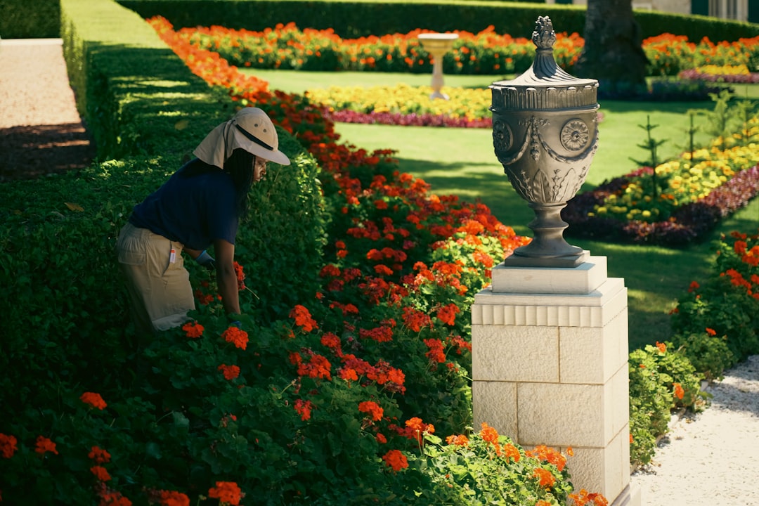 aquicksolution-com_ee